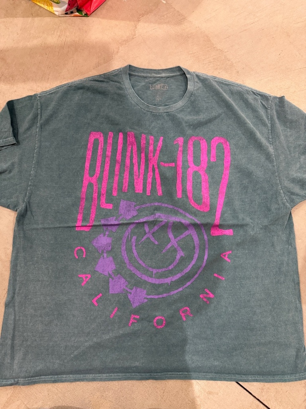 Blink-182 Graphic Tee in Teal with Pink/Purple Logo